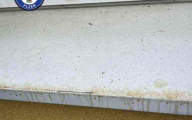 Nechutné soužití v Plzni. Senior vylévá z okna bytu moč, stěžují si sousedé