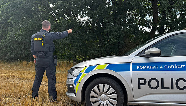 Z ohrady na Strakonicku utekl chovateli půltunový býk, zamířil do lesa