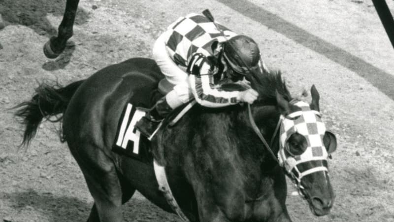 Zemřela dostihová legenda. Turcotte získal v sedle slavného hřebce ikonickou Trojkorunu 