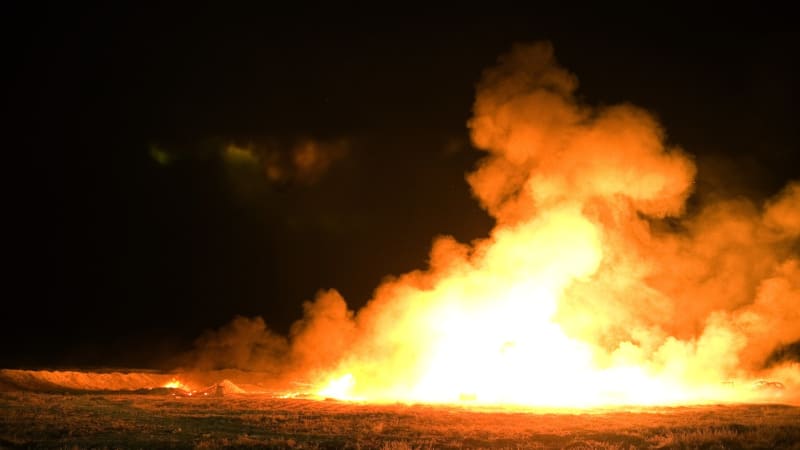 Chlapce pohltily po nehodě plameny. Mami, nech mě prosím umřít, křičel v bolestech malý Brit