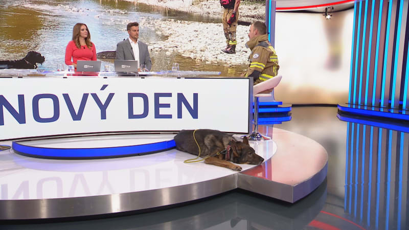 Záchranářský pes Bart pomáhal v Turecku i v USA. Vybral si mě, říká kynolog USAR týmu