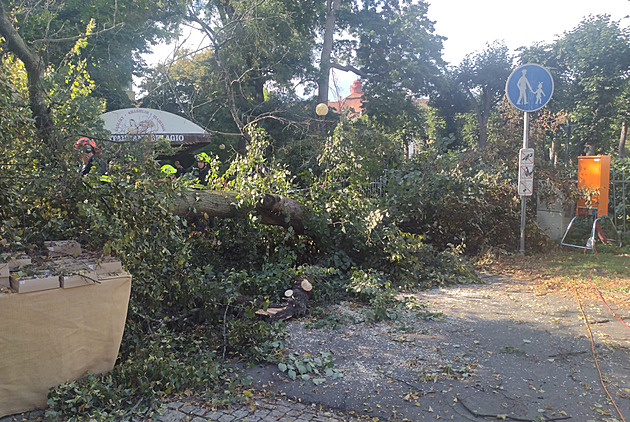 Mezi stánky na hlavní třídě v Karlových Varech spadl strom, zranil dva lidi