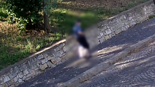 VIDEO: Mladíci na ulici okradli seniora, zvolili svérázné maskování