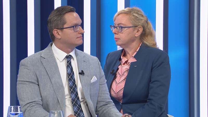 Švihlíková: Ze šedé ekonomiky by šlo získat stovky miliard. V říši snů, opáčil Křeček