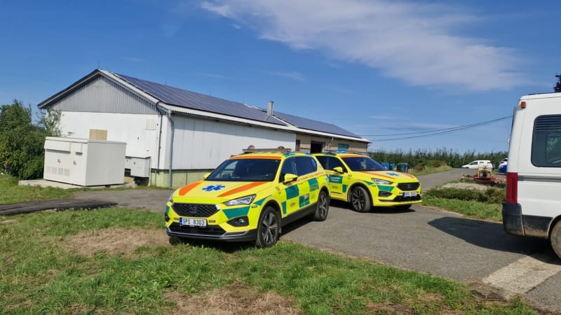 Drama na Plzeňsku: Při závodě se psy útočil roj sršňů. Záchranáři převezli napadené do nemocnic