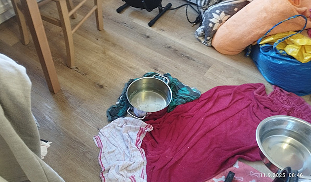 Do bytů v Brně zatéká voda z opravované střechy, stavební firma nekomunikuje