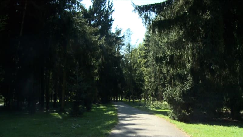 Narkomani, bezdomovci, občas vraždy: Stromovka v Českých Budějovicích děsí místní