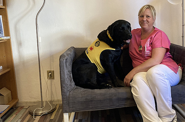 Hospicový psí terapeut. Dejl zvládá mazlení v posteli i těžké chvíle s rodinou