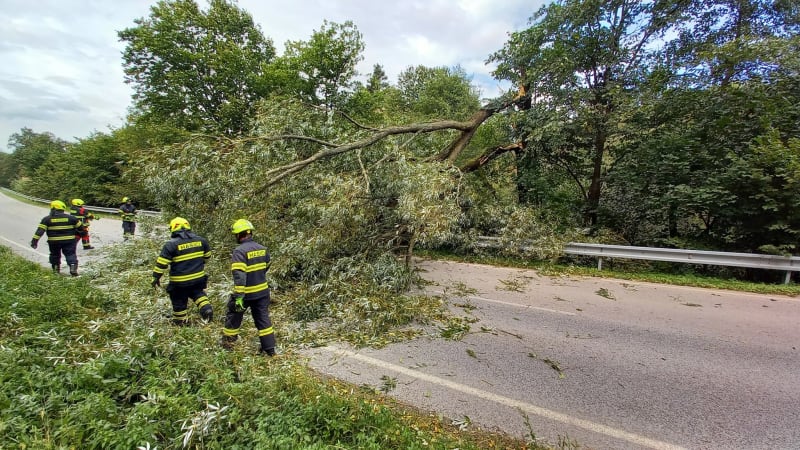 VÝSTRAHA: Českem se žene vichřice. Na řadě míst láme stromy, pozor na jízdu v autech
