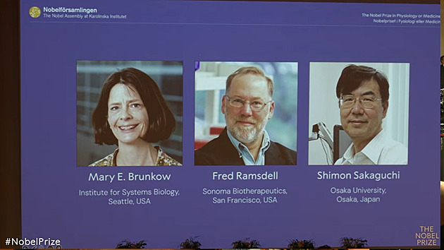 Nobelovou cenou za medicínu byl oceněn výzkum strážců imunitního systému