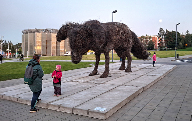 Drátěný pes v centru Zlína rozdělil město. Jedni ho milují a jiní zatracují