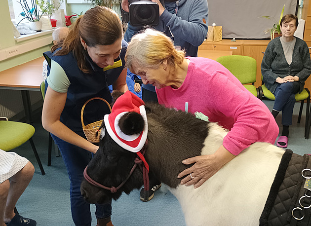 Rozárka s červenou čepičkou. Pacienty ostrovské nemocnice potěšil poník