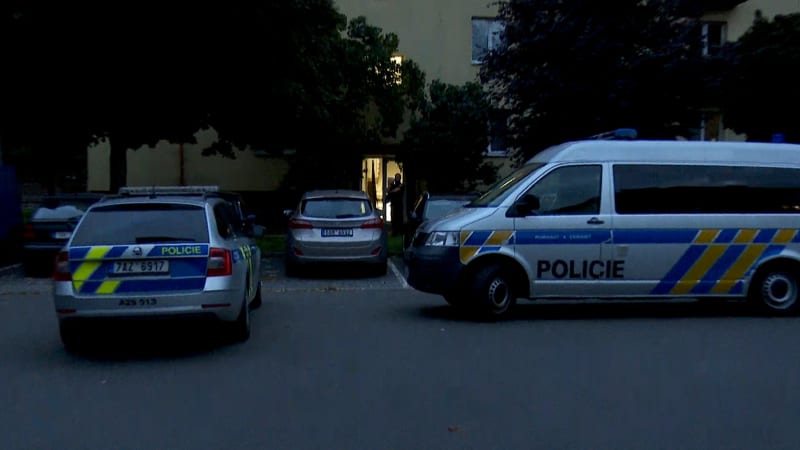 V případě smrti batolete na Lounsku padlo obvinění. Muži hrozí až výjimečný trest