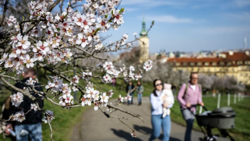 Přeháňky, nebo slunce a teploty přes 20 °C? MAPA odhaluje, jak bude o Velikonocích u vás