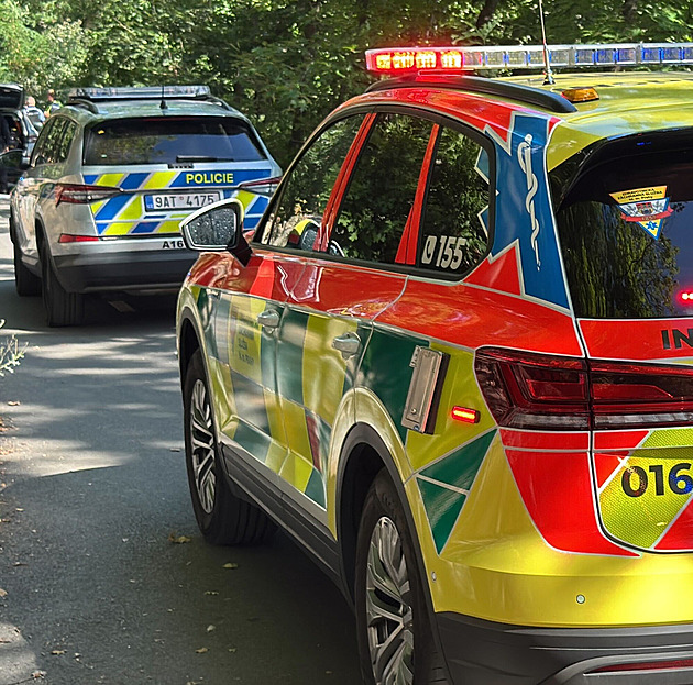 Manželský pár zemřel v Mostě po střetu s mustangem. Jeho řidič nadýchal