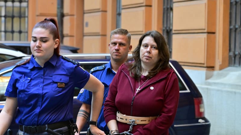 Milence měla ubodat 158 ranami. Navedla mě imaginární kamarádka, hájí se žena u soudu v Brně
