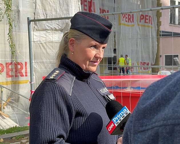 Policisté dopadli ženu, která hodila dítě do kontejneru. Sbírali DNA od místních