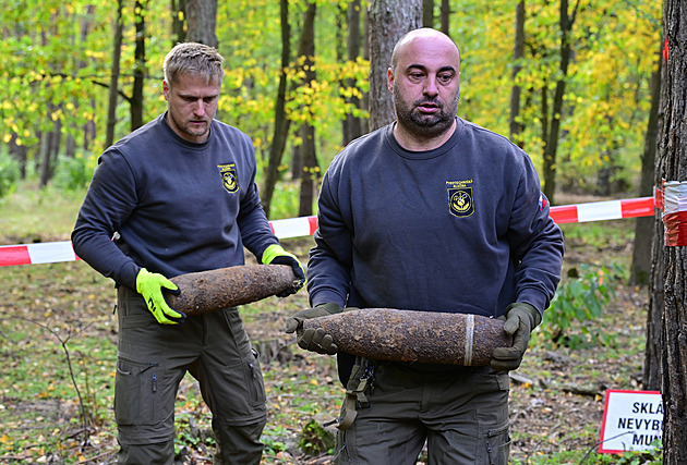 Skončilo čištění Bořího lesa od válečné munice, pyrotechnici odklidili 70 tisíc kusů
