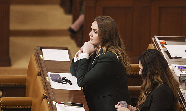 Velké rozhořčení. Spolupráce s ANO nám uškodila, říká poslankyně hnutí STAN