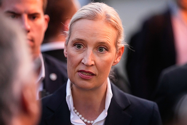 Průšvih pro AfD. Stranu napadli hackeři, zveřejnili statisíce e-mailů